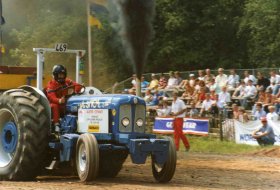Big Smoke at the Royal Show